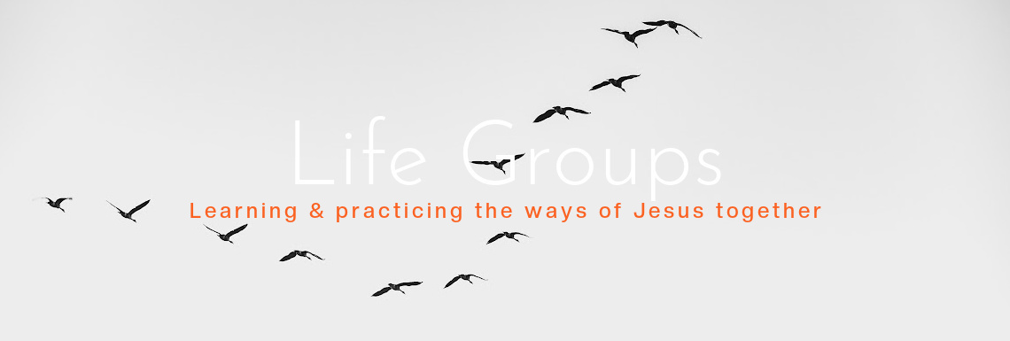 life groups 2